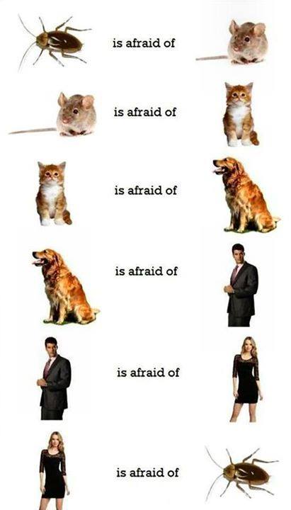  Afraid of....!